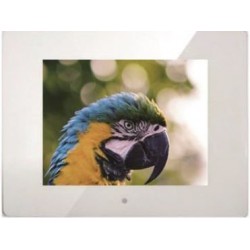 8" TFT 16:9 800x480 screen...