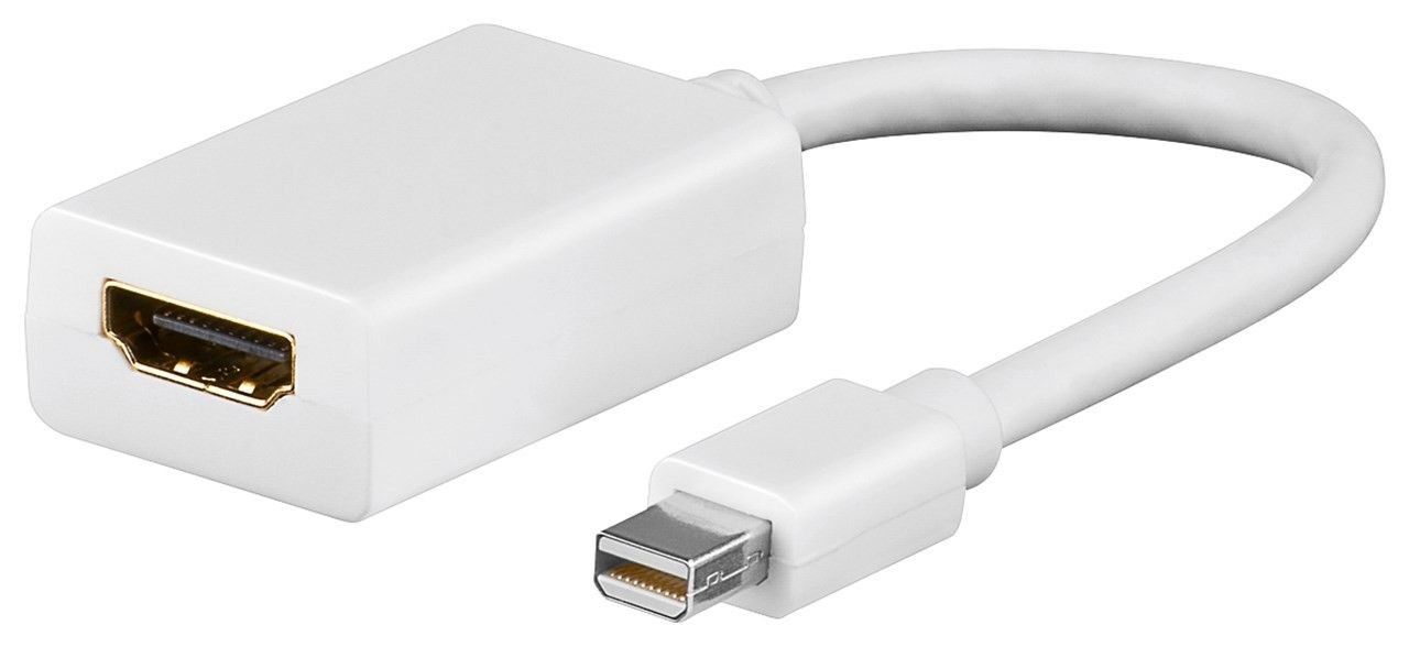 DisplayPort adapter / omvandlare